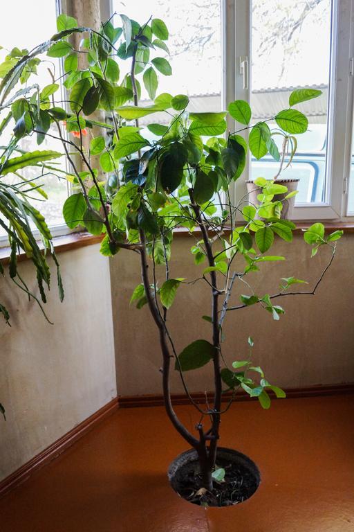 Areni House B&B Bagian luar foto