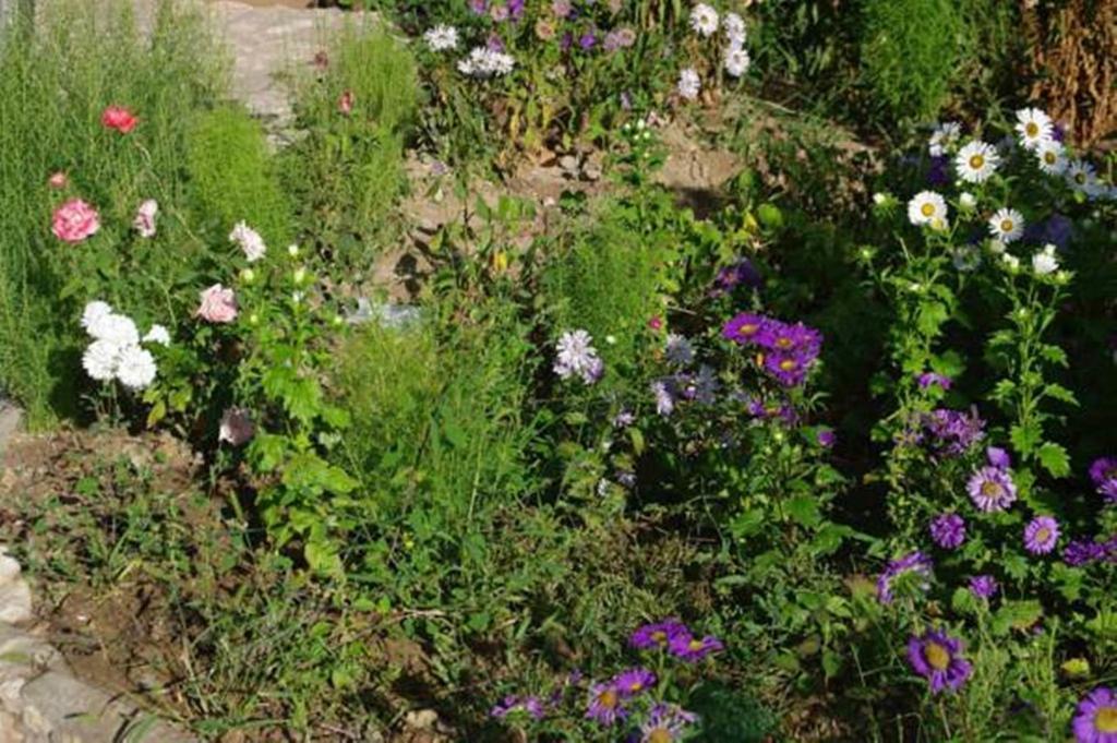 Areni House B&B Bagian luar foto